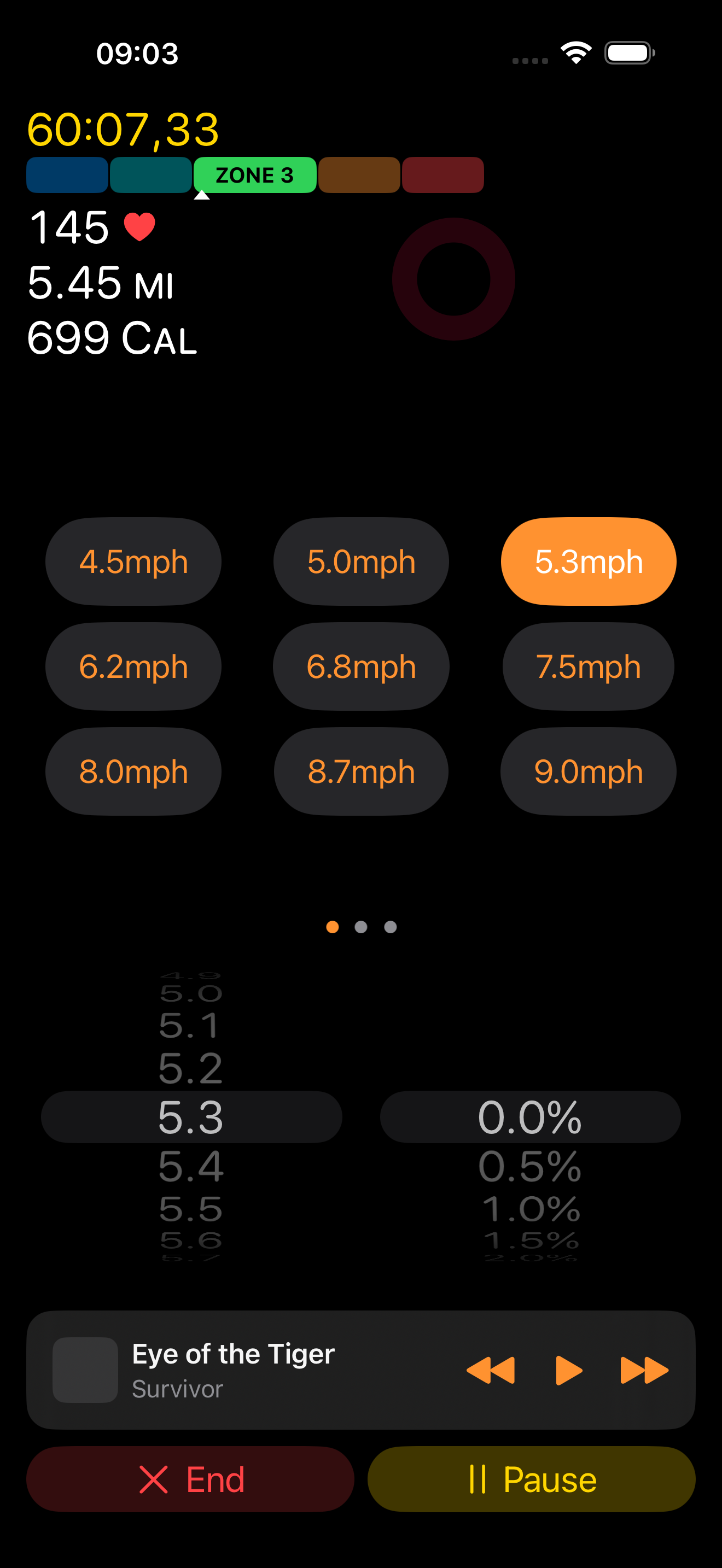 Virtual Treadmill iPhone workout screen