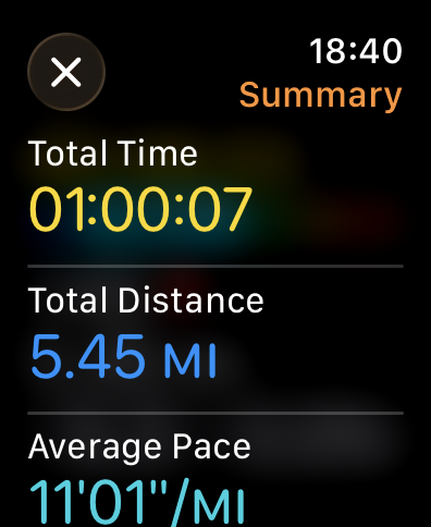 Apple Watch screenshot 3